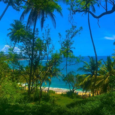 Bluewind Resort แทนกาลเล ภายนอก รูปภาพ