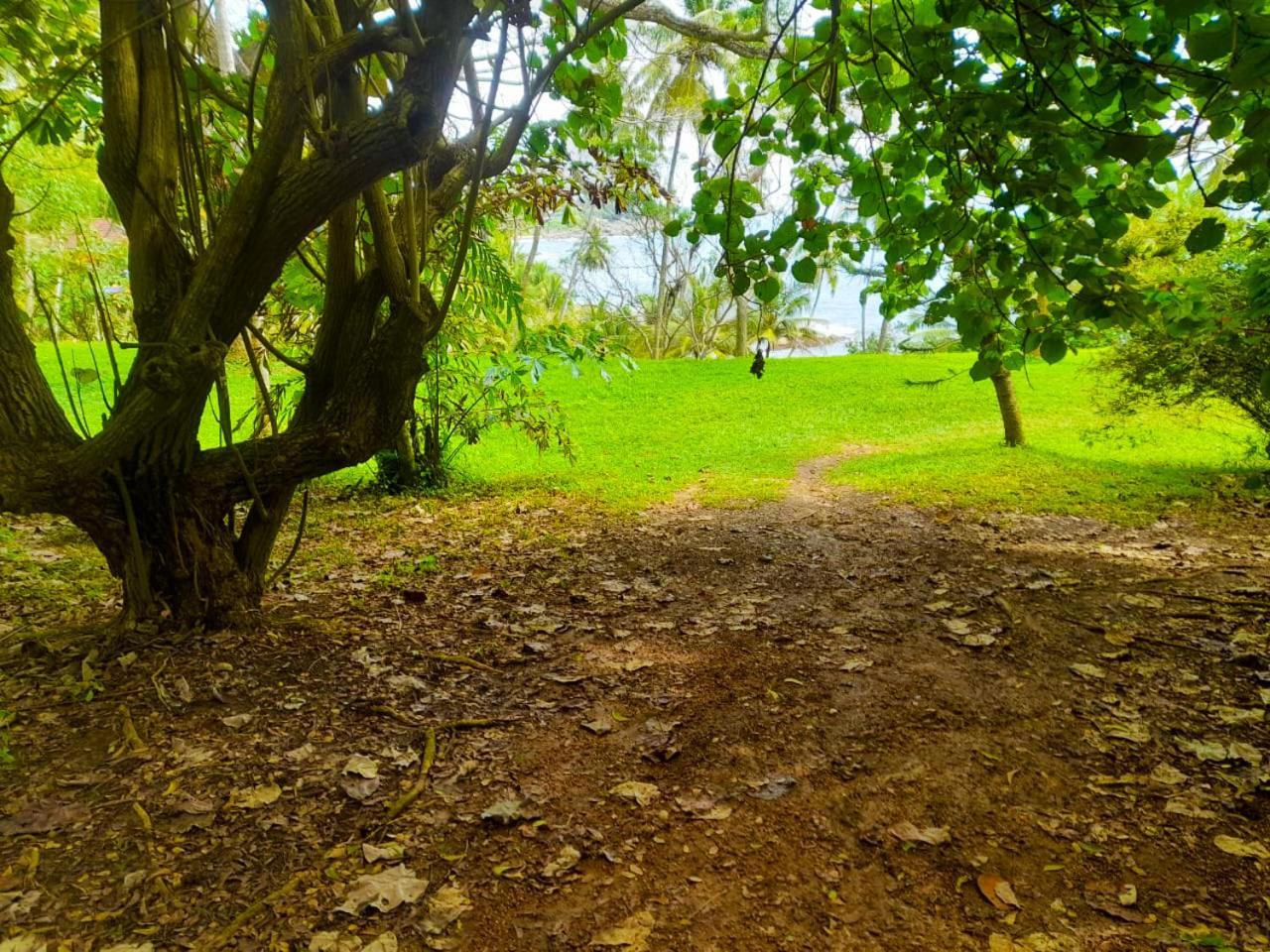 Bluewind Resort แทนกาลเล ภายนอก รูปภาพ