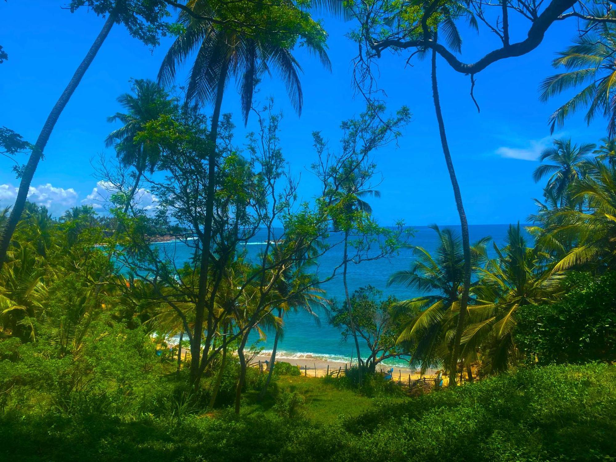 Bluewind Resort แทนกาลเล ภายนอก รูปภาพ