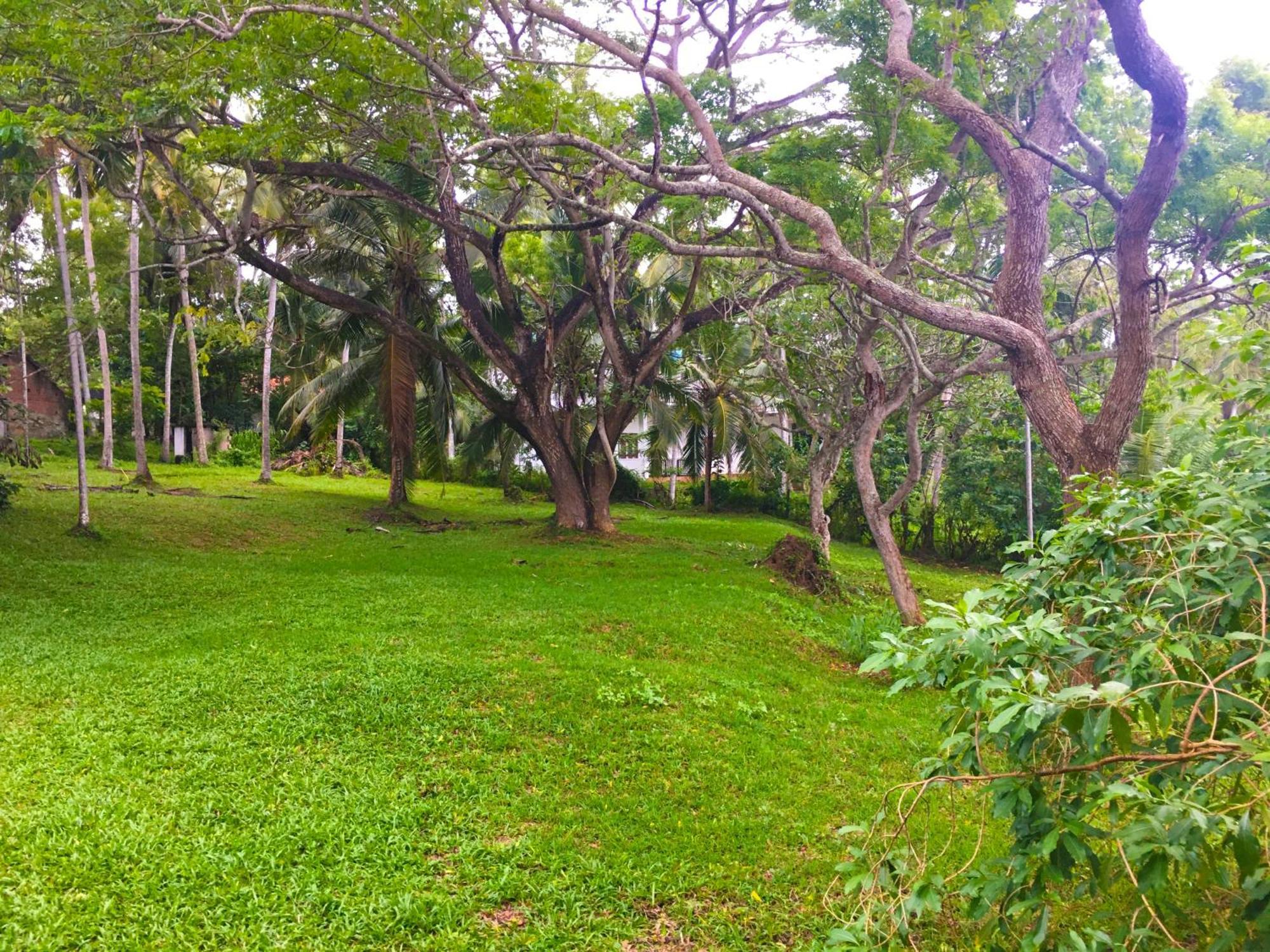 Bluewind Resort แทนกาลเล ภายนอก รูปภาพ