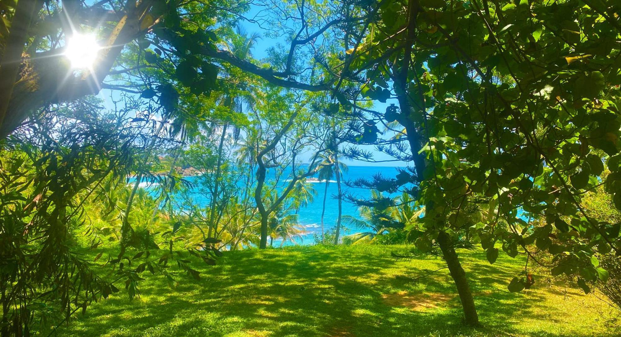 Bluewind Resort แทนกาลเล ภายนอก รูปภาพ