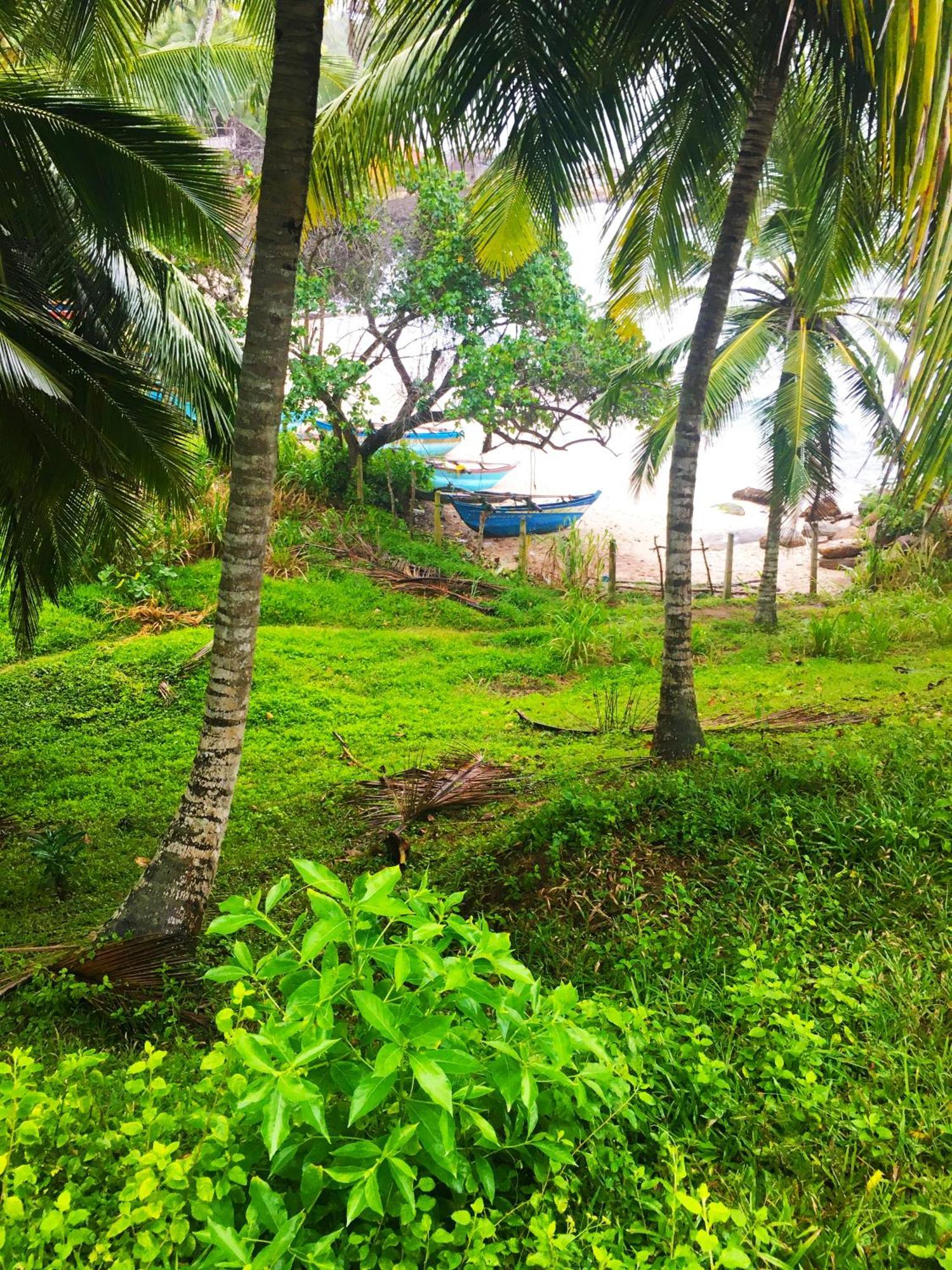 Bluewind Resort แทนกาลเล ภายนอก รูปภาพ
