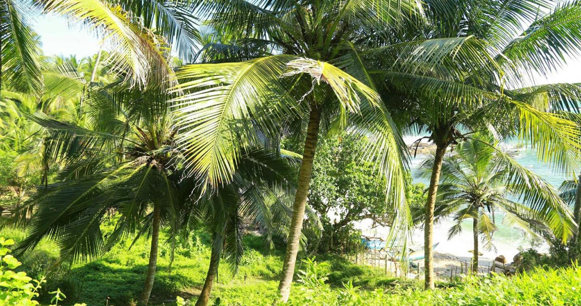 Bluewind Resort แทนกาลเล ภายนอก รูปภาพ